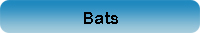 bats button.jpg